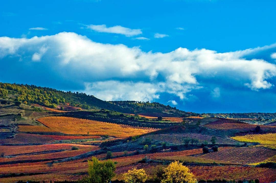 Valle amplio con campos de viñedo en tonos rojizos, montañas al fondo y un cielo azul con nubes.