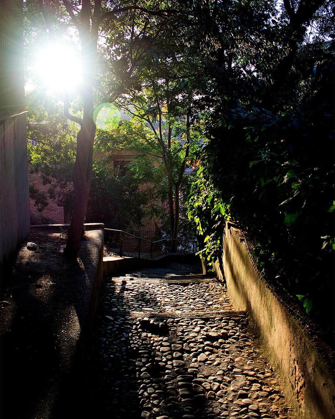 Callejón empedrado en cuesta iluminado por una farola a contraluz, entre muros de piedra y vegetación.