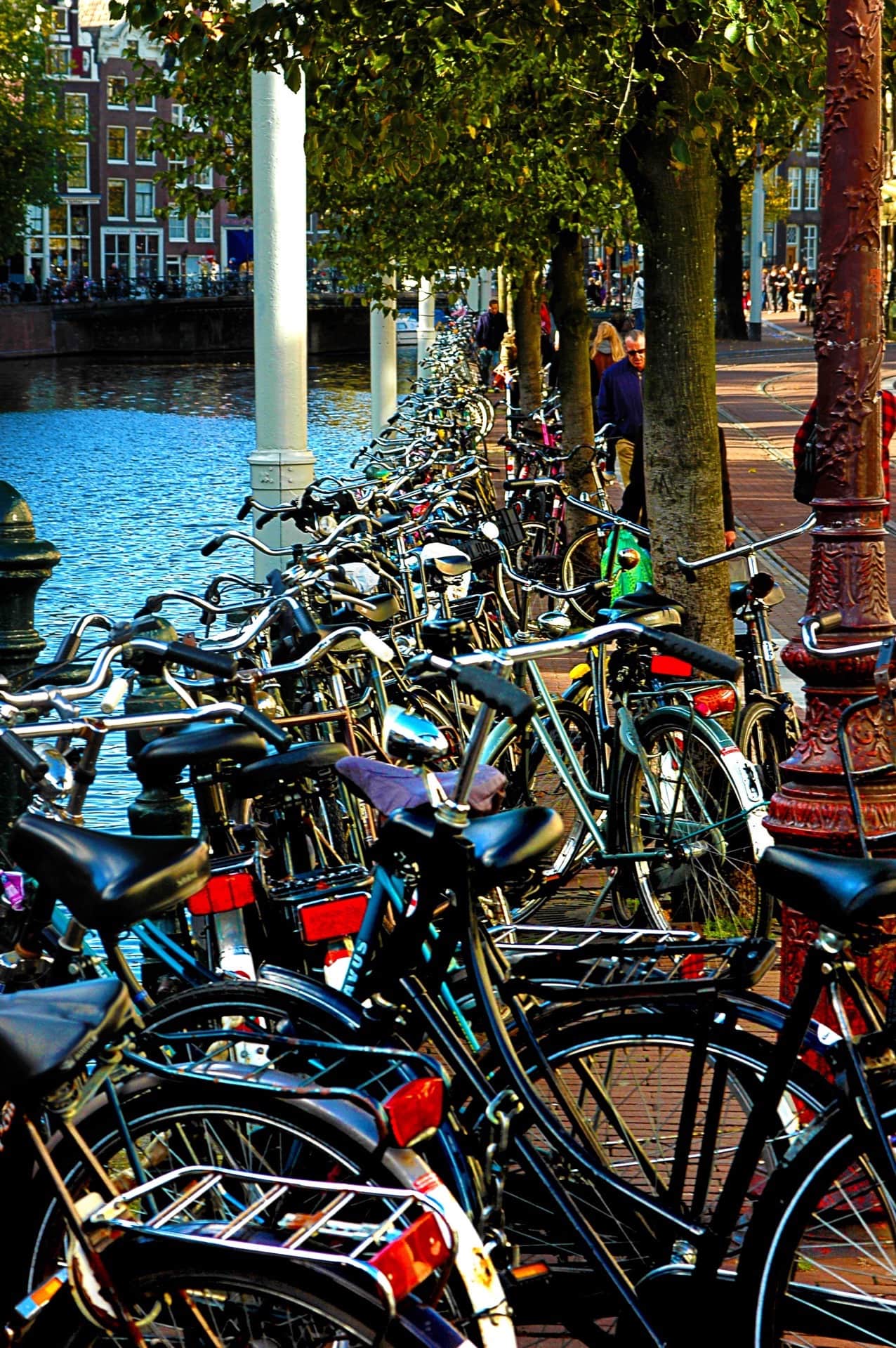 Hilera de bicicletas aparcadas junto a un canal bordeado de árboles, con farola de hierro y casas al fondo.