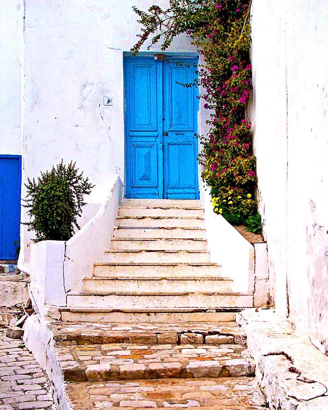 Escalera encalada que sube hacia una puerta azul, con una buganvilla y una maceta a los lados.