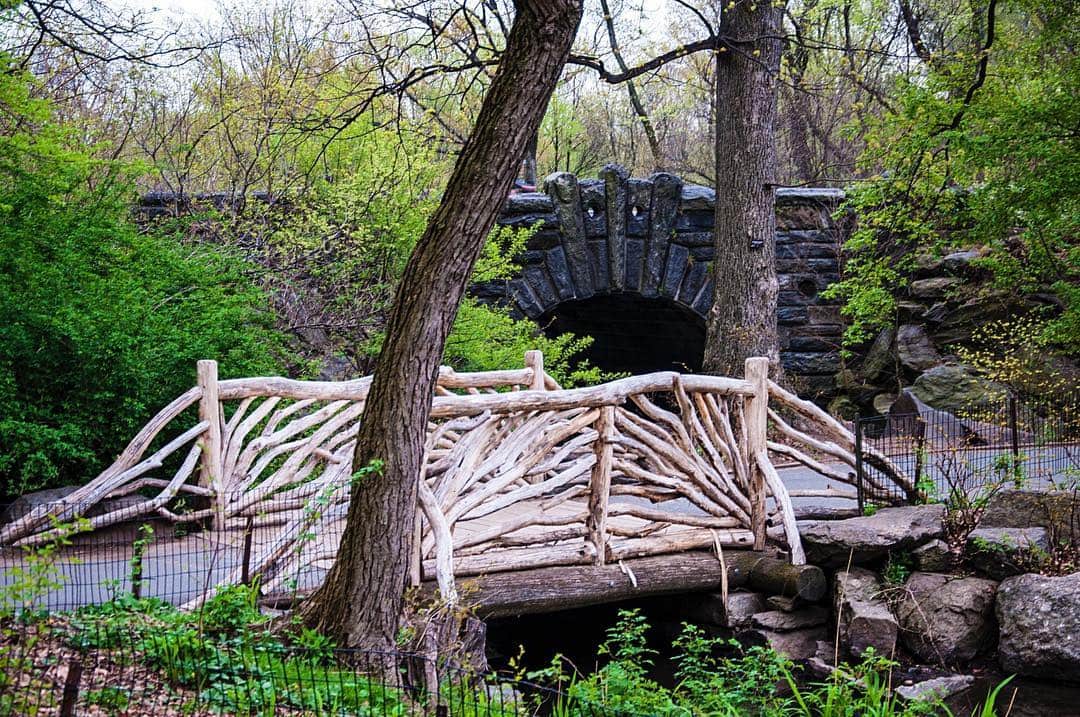 Puente rústico de troncos y ramas sobre un arroyo, en un parque con vegetación primaveral.