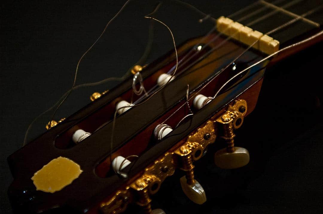 Clavijero de una guitarra española visto de cerca, con las clavijas doradas y las cuerdas sueltas.