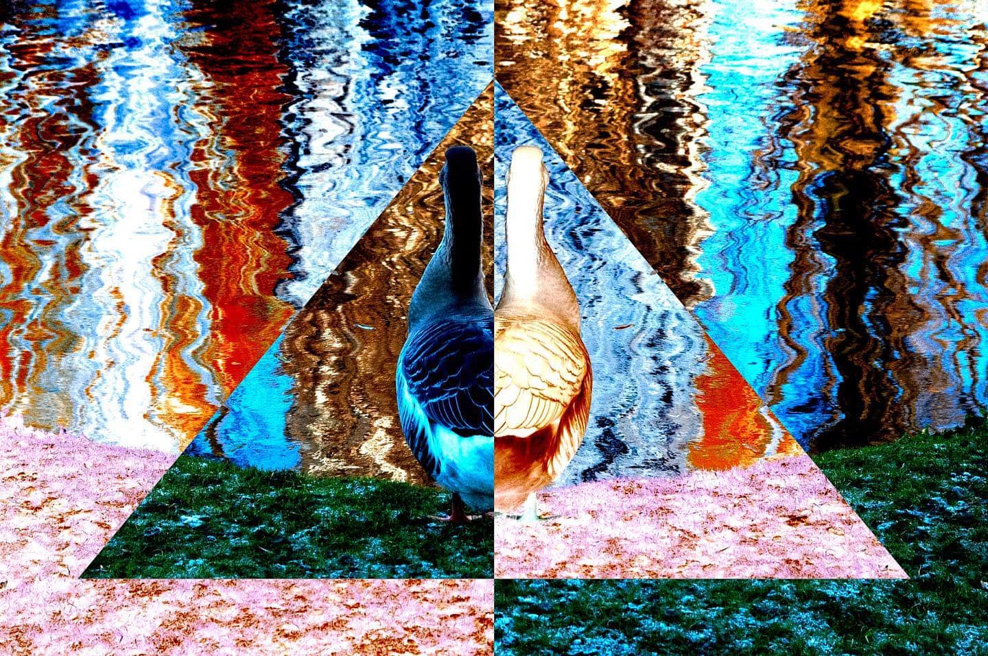 Composición de dos triángulos con reflejos de agua y aves, en colores muy saturados.