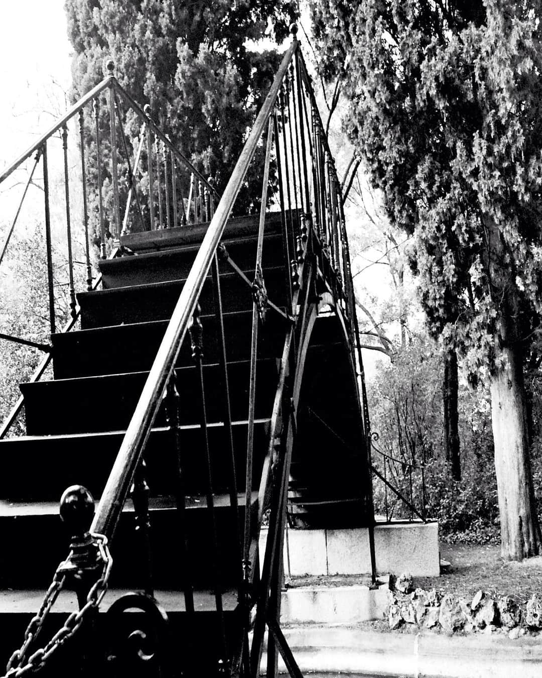 Estructura metálica y cadenas de un puente antiguo, en blanco y negro, entre árboles.