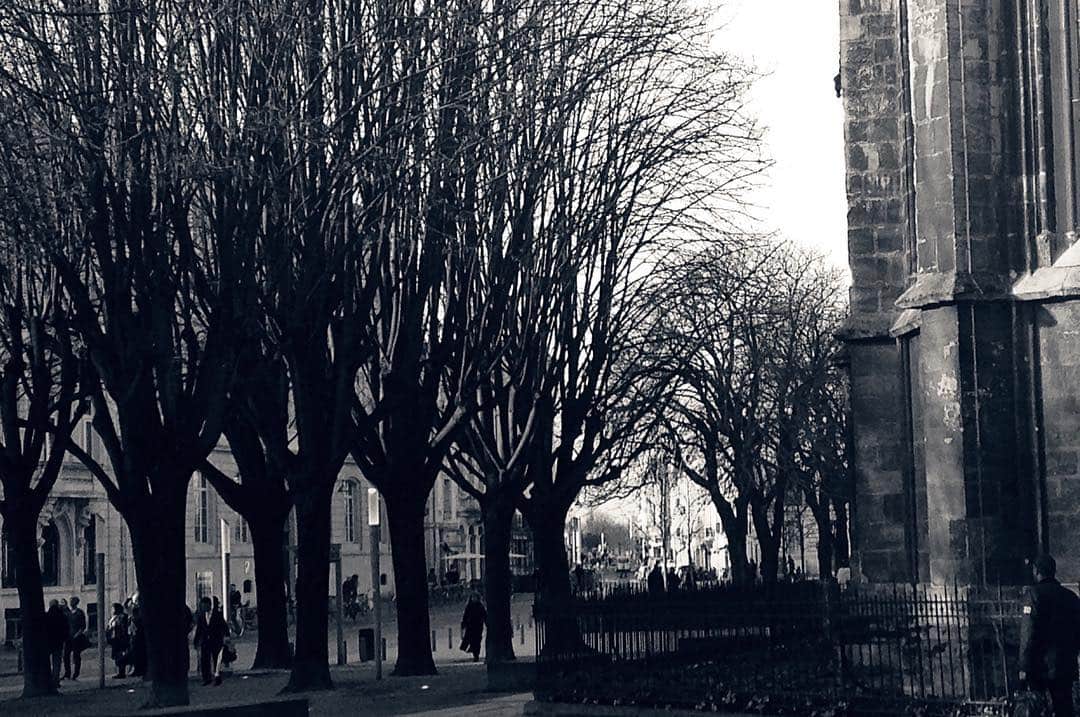 Hilera de árboles desnudos junto al lateral de una catedral gótica, en blanco y negro.
