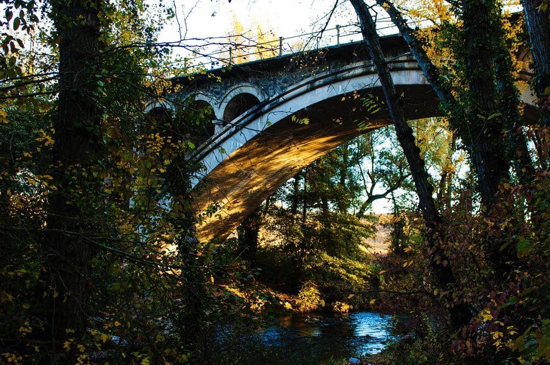 Puente de piedra de un solo arco sobre un arroyo, entre árboles de follaje otoñal.