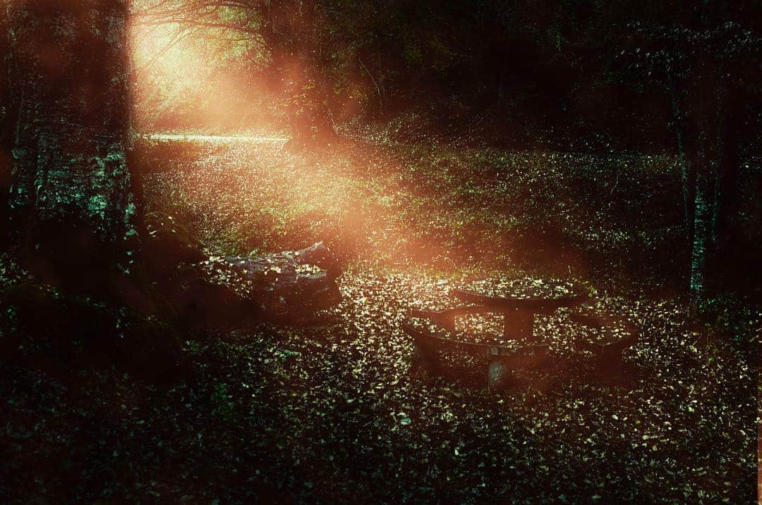 Interior oscuro atravesado por un haz de luz polvorienta que entra por una abertura.