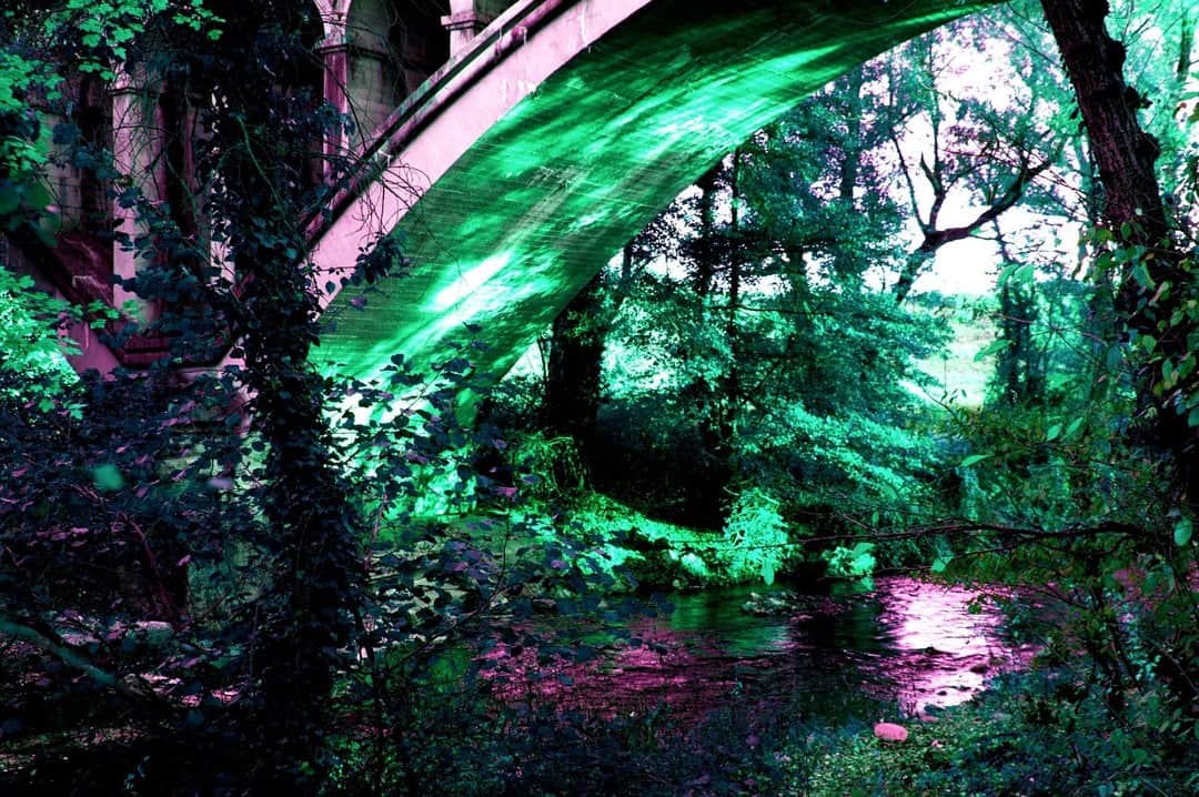 Vegetación bajo un puente con la imagen virada a verde eléctrico y magenta.