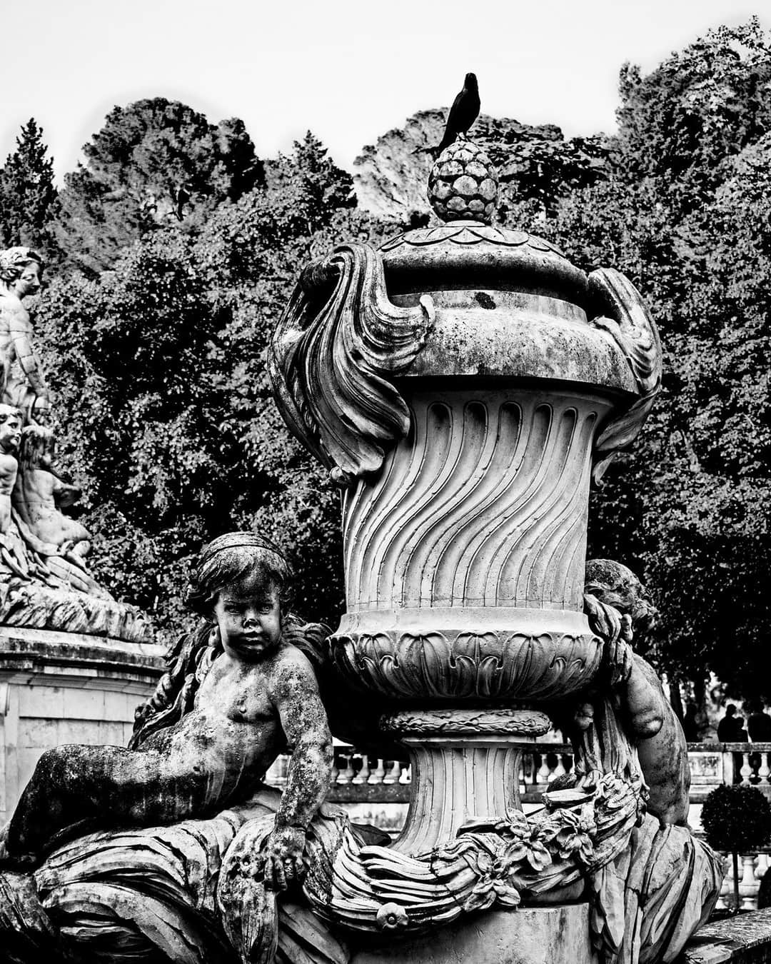 Fuente monumental de piedra con un jarrón y figuras esculpidas, en blanco y negro, entre árboles.