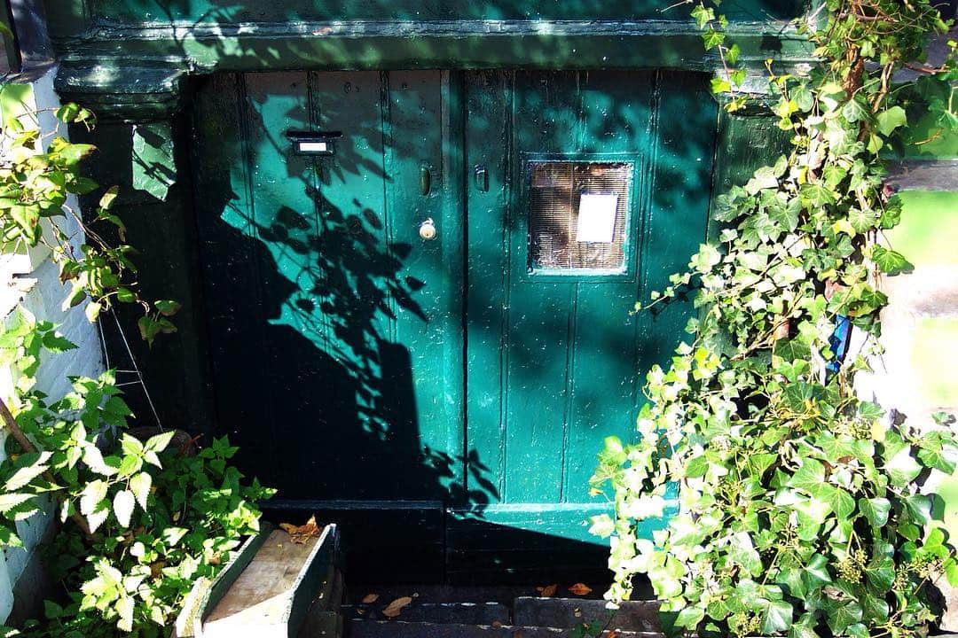 Puerta metálica pintada de verde turquesa, con un ventanuco, rodeada de hiedra y ramas.