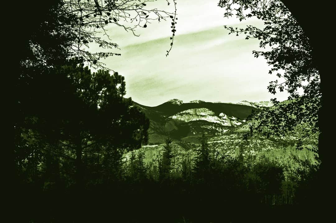 Paisaje de colinas y arboleda visto a través de un marco de ramas, con la imagen virada a verde.