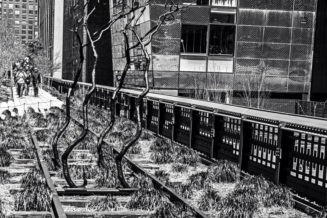 Tramo de la High Line de Nueva York con las vías antiguas entre la grava, en blanco y negro.