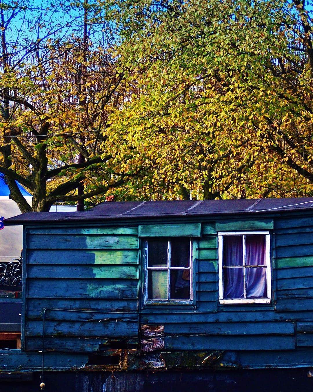 Casa flotante de madera pintada de azul y verde, con dos ventanas y un árbol de hojas amarillas encima.