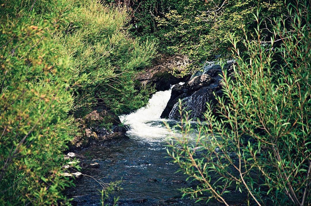 Salto de agua entre rocas oscuras, encajonado en un arroyo con las orillas cubiertas de vegetación verde.