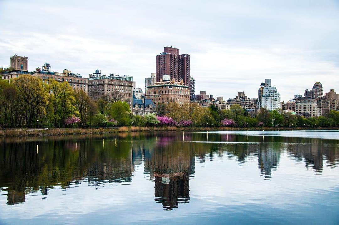 Estanque de Central Park con los edificios de la orilla reflejados en el agua y los árboles en primer plano.