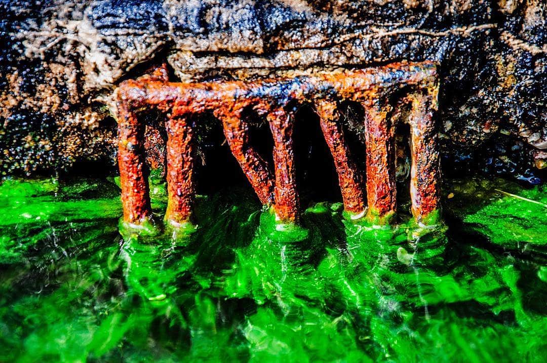 Estructura de hierro oxidado, con forma de arcos, emergiendo de un agua teñida de verde eléctrico.