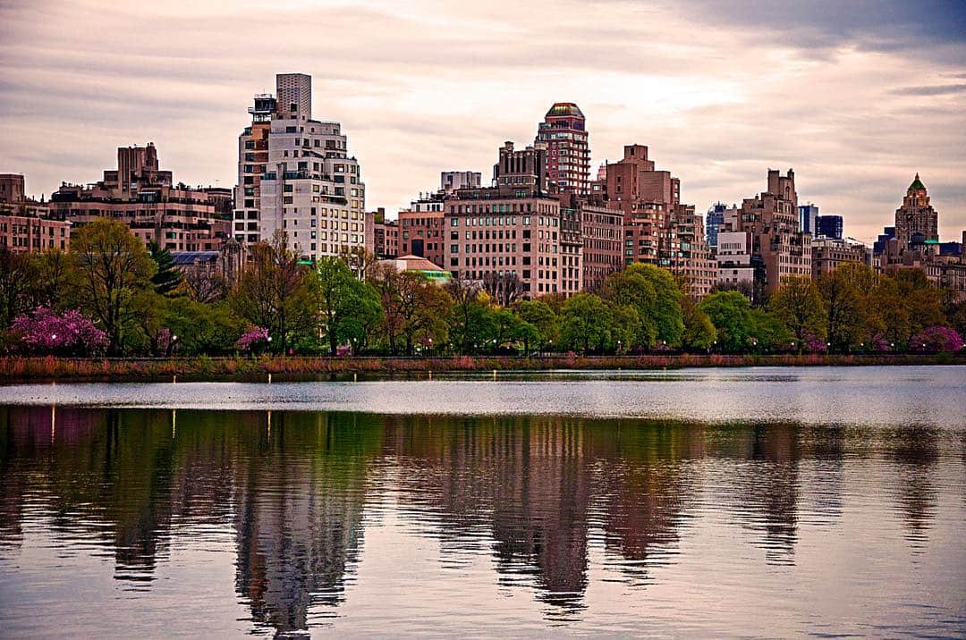Estanque de Central Park con los edificios de Nueva York reflejados en el agua y árboles en flor en la orilla.