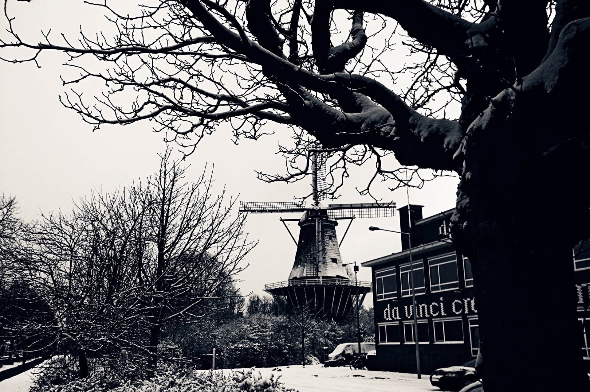 Molino de viento tras las ramas desnudas de un gran árbol, en un paisaje nevado, en blanco y negro de alto contraste.