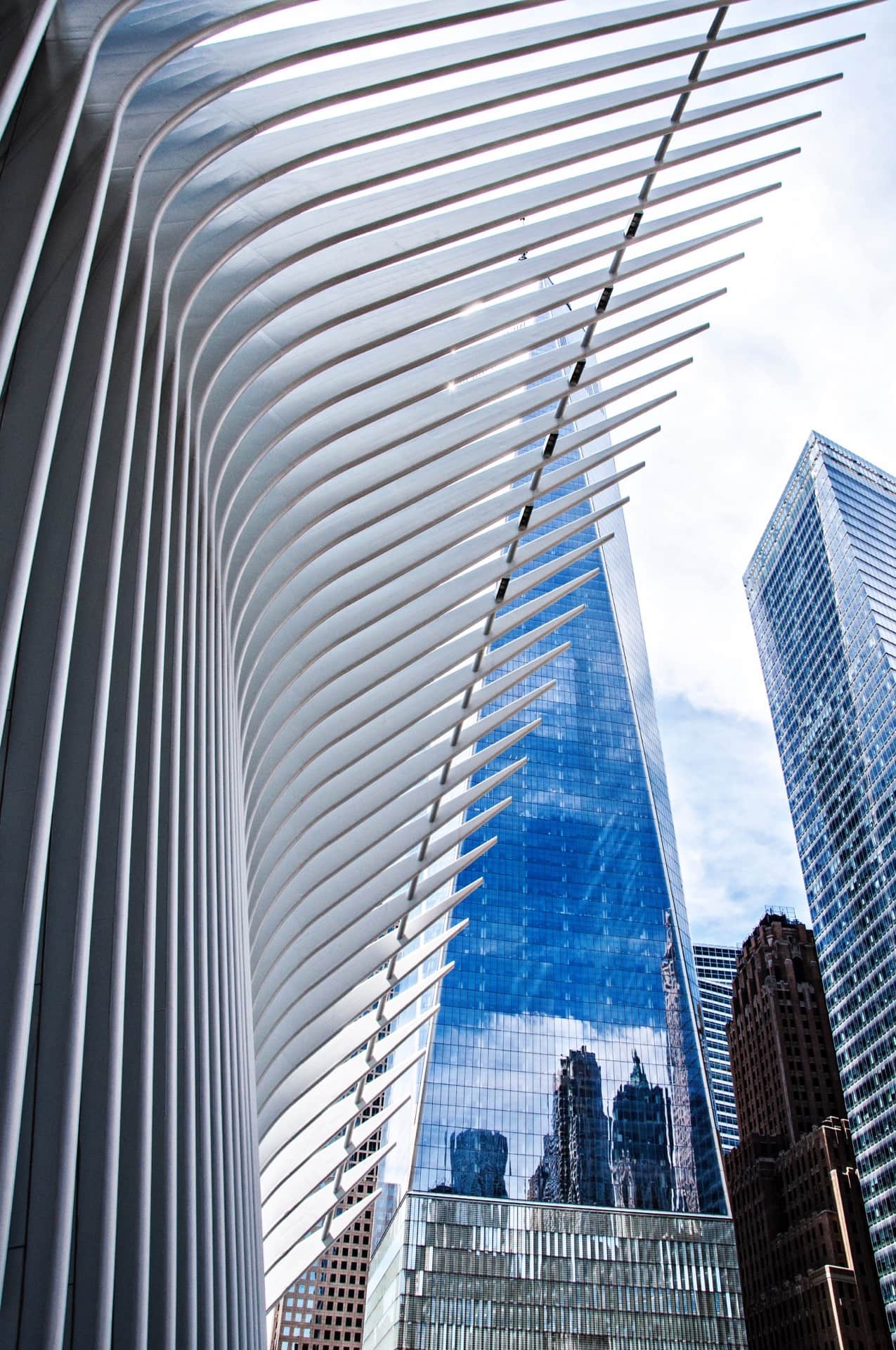 Costillas blancas del Oculus vistas en contrapicado, con la torre acristalada del One World Trade Center al fondo.