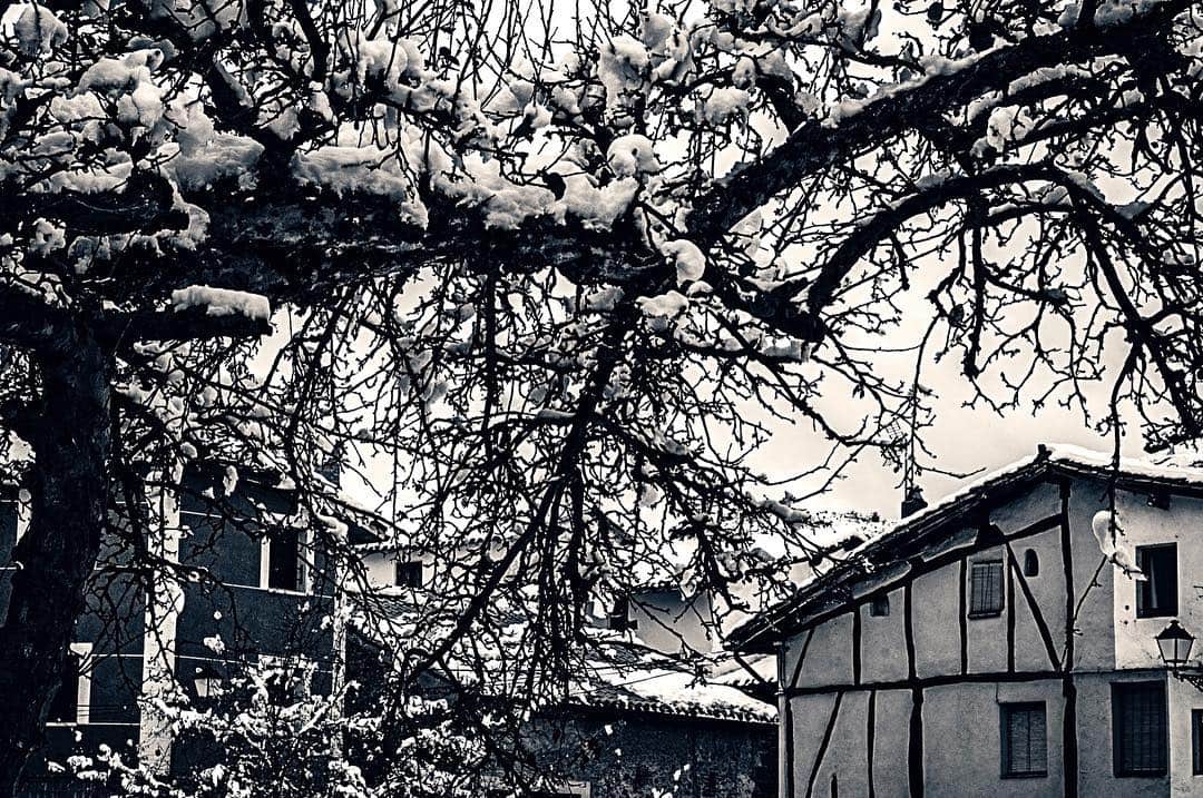 Casa de pueblo con entramado de madera bajo la nieve, entre ramas desnudas, en blanco y negro.