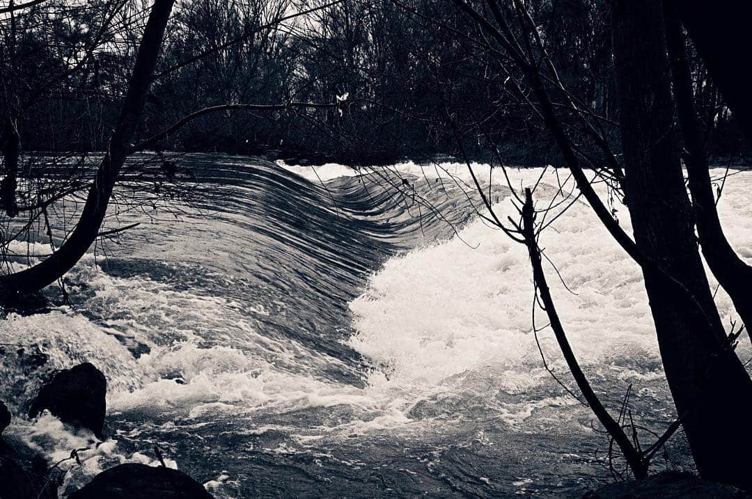 Río desbordado y turbulento entre ramas desnudas, en blanco y negro.