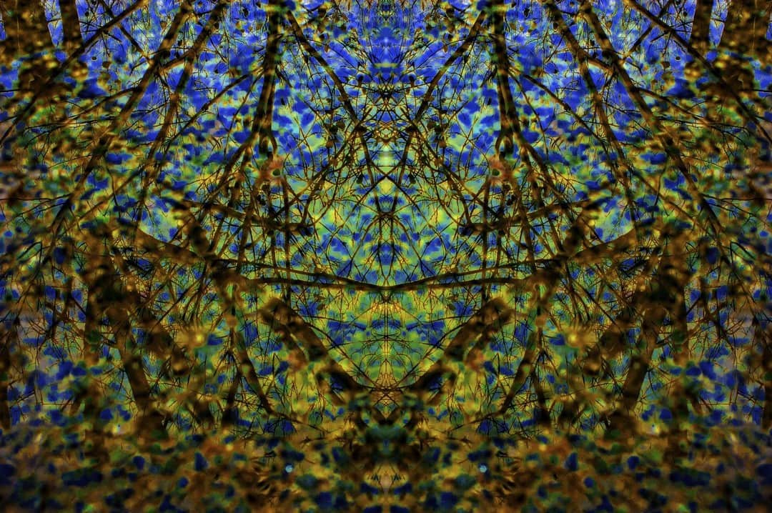 Composición simétrica de follaje en verdes y azules, repetida en espejo.