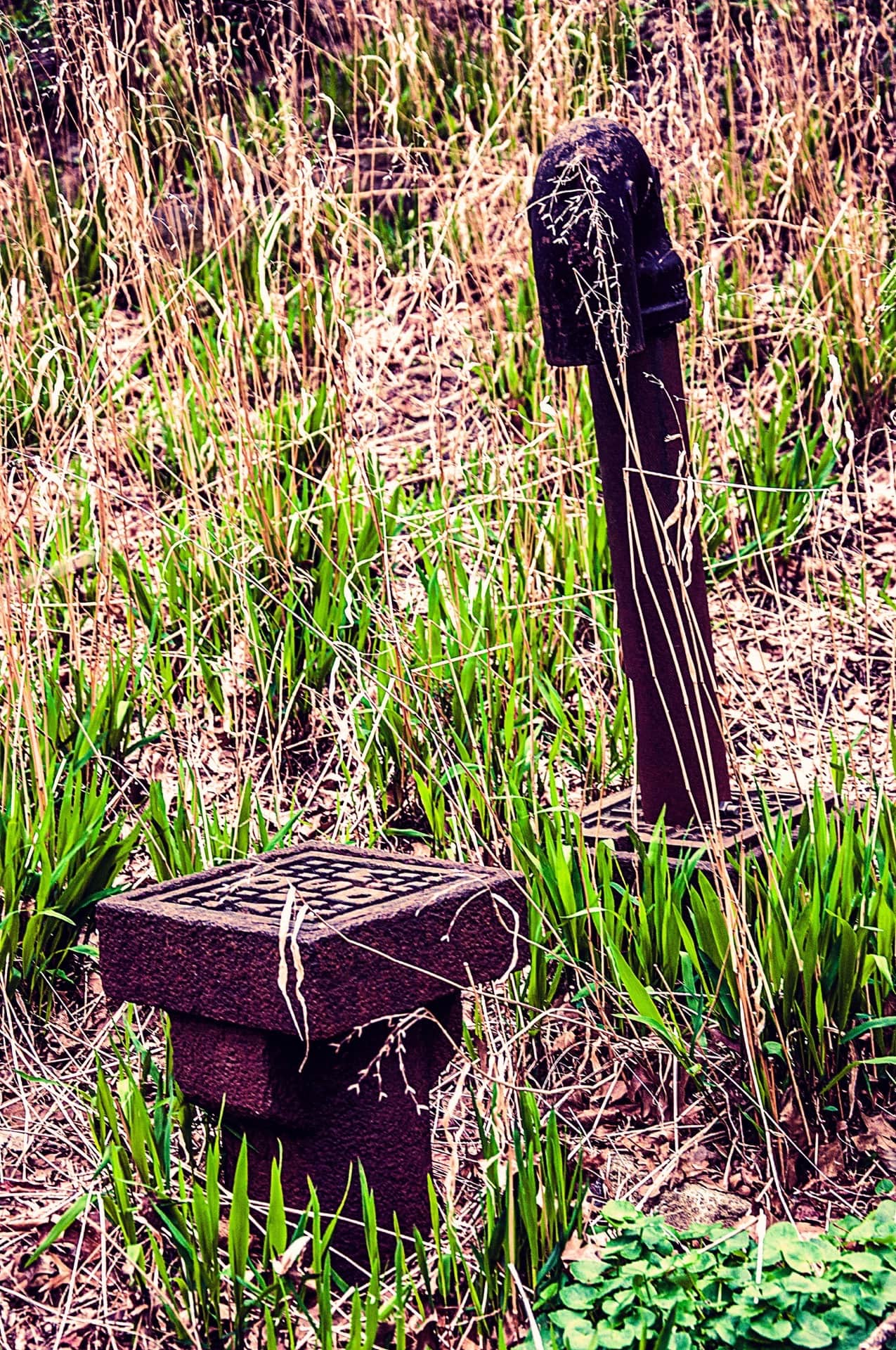 Poste de hierro oxidado con remate articulado y una arqueta cuadrada de piedra, entre hierba seca alta y brotes verdes.