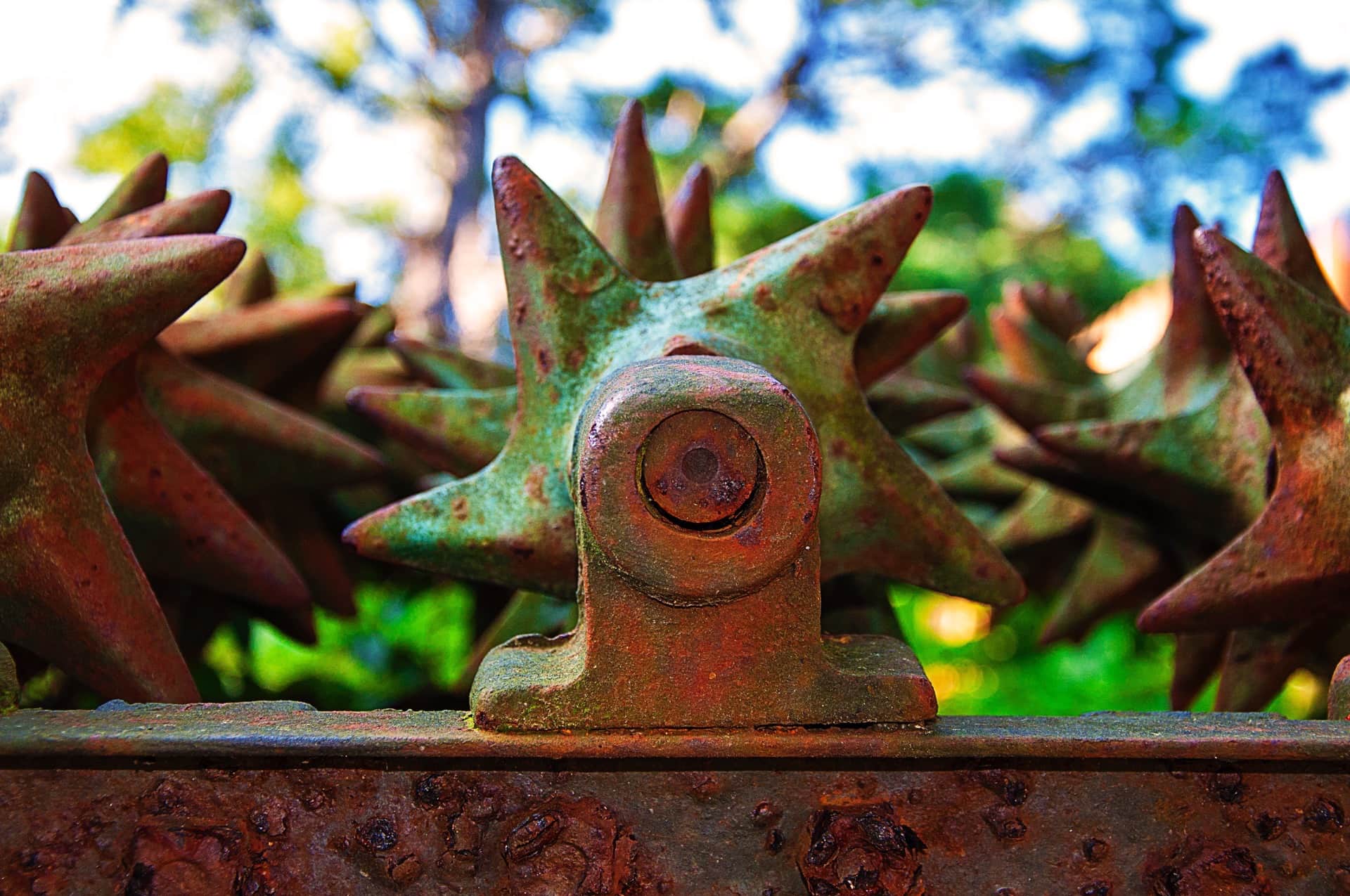 Detalle de las ruedas de púas oxidadas de un apero agrícola, con pátina verde de liquen y follaje desenfocado detrás.
