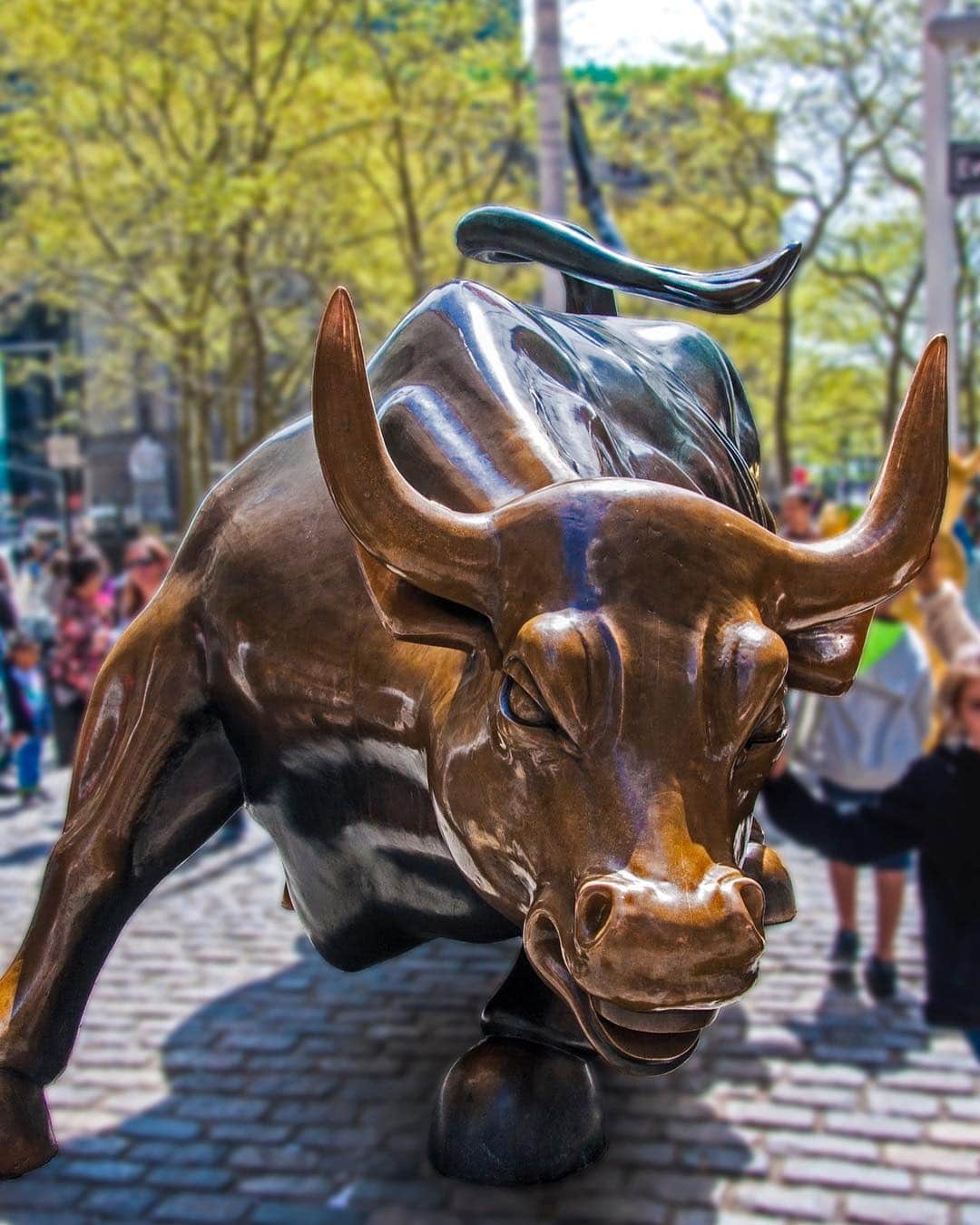 Escultura de bronce del toro de Wall Street, de frente, con gente alrededor y árboles al fondo.