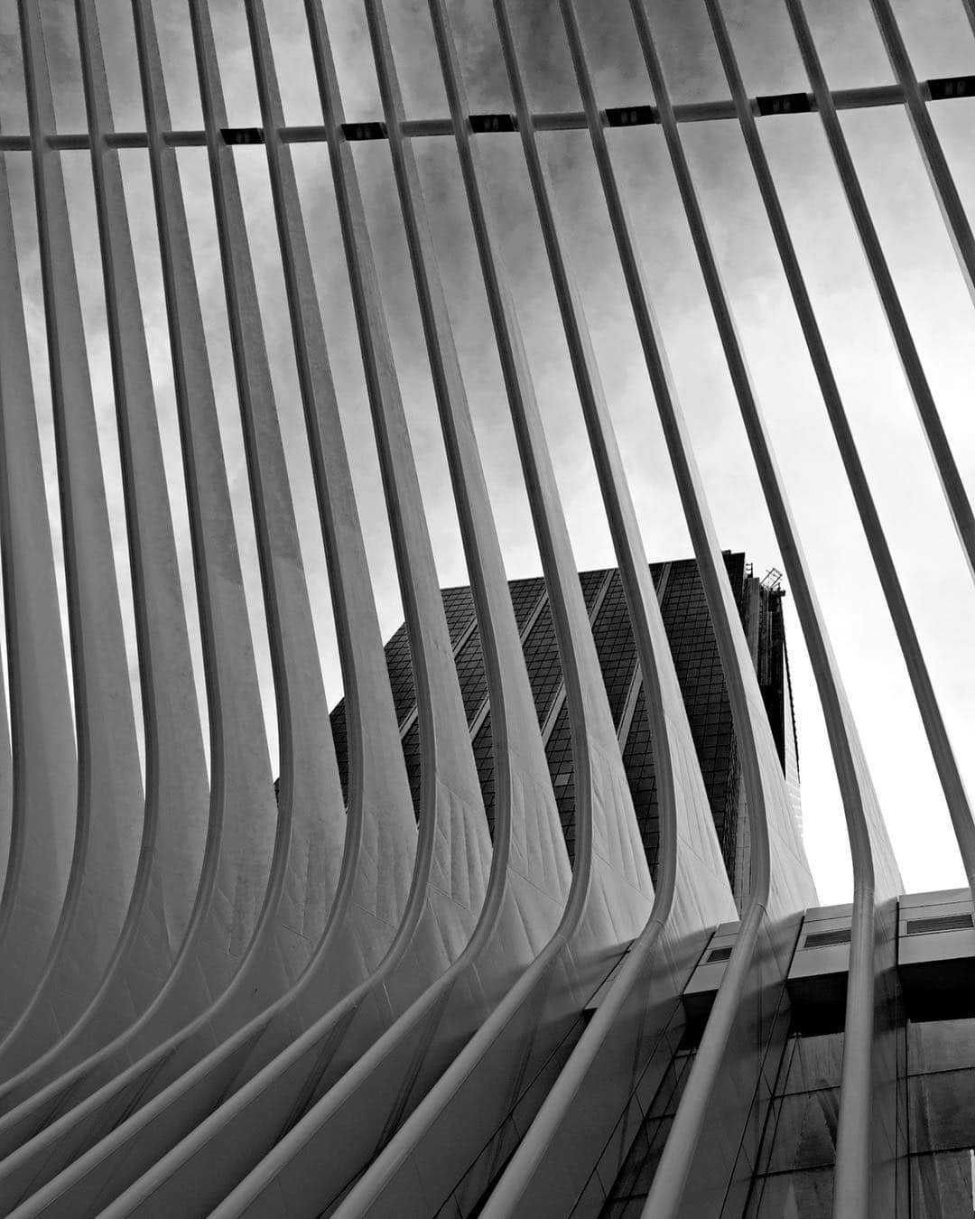 Detalle de las costillas blancas del Oculus de Nueva York, en diagonal, en blanco y negro.