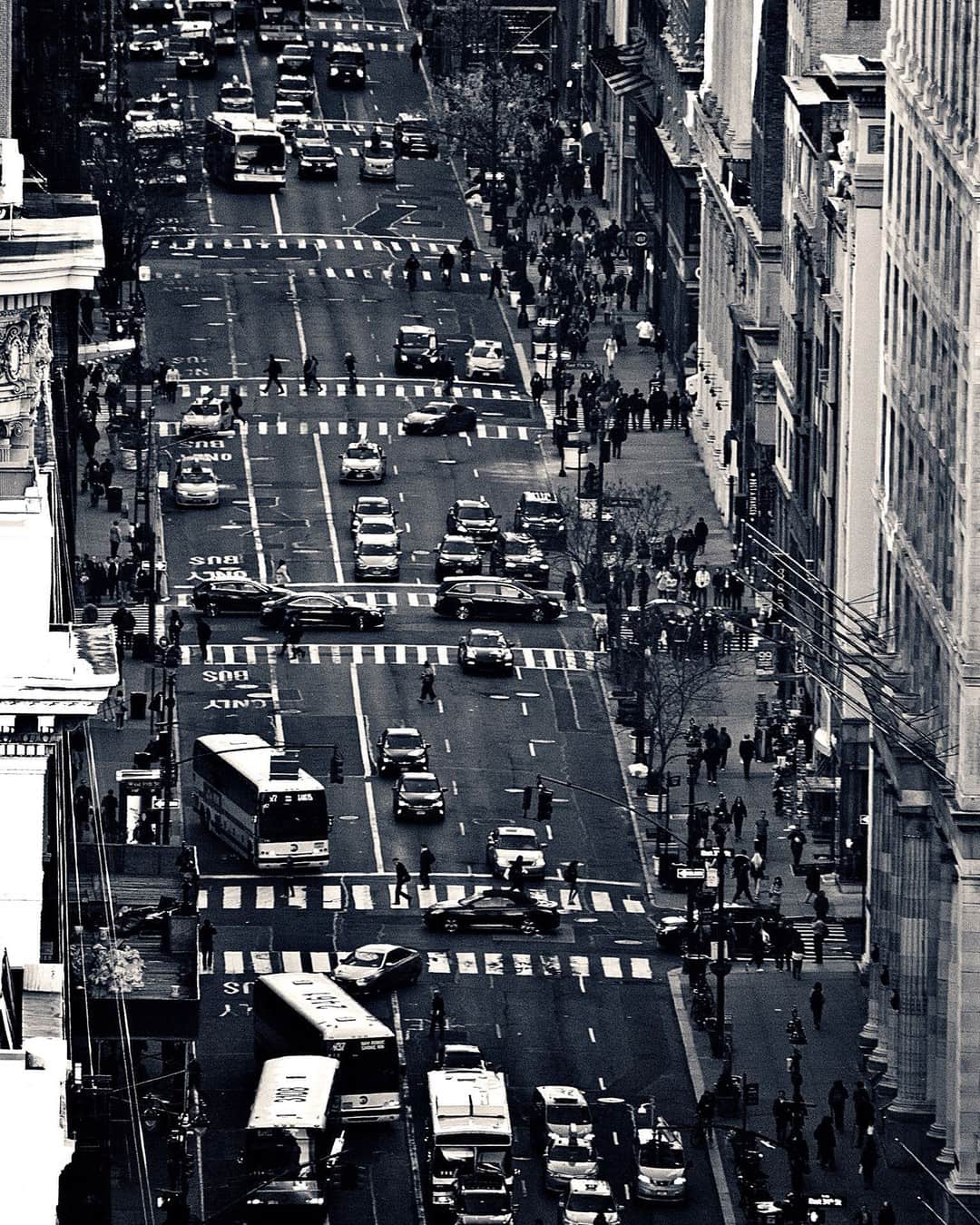 Vista en picado de la Quinta Avenida con el tráfico y los pasos de peatones, en blanco y negro.