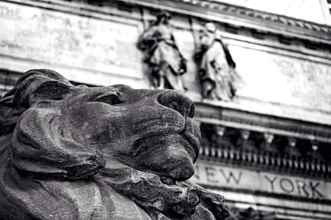 Escultura de un león de piedra tumbado ante un friso, con la palabra «New York» grabada, en blanco y negro.