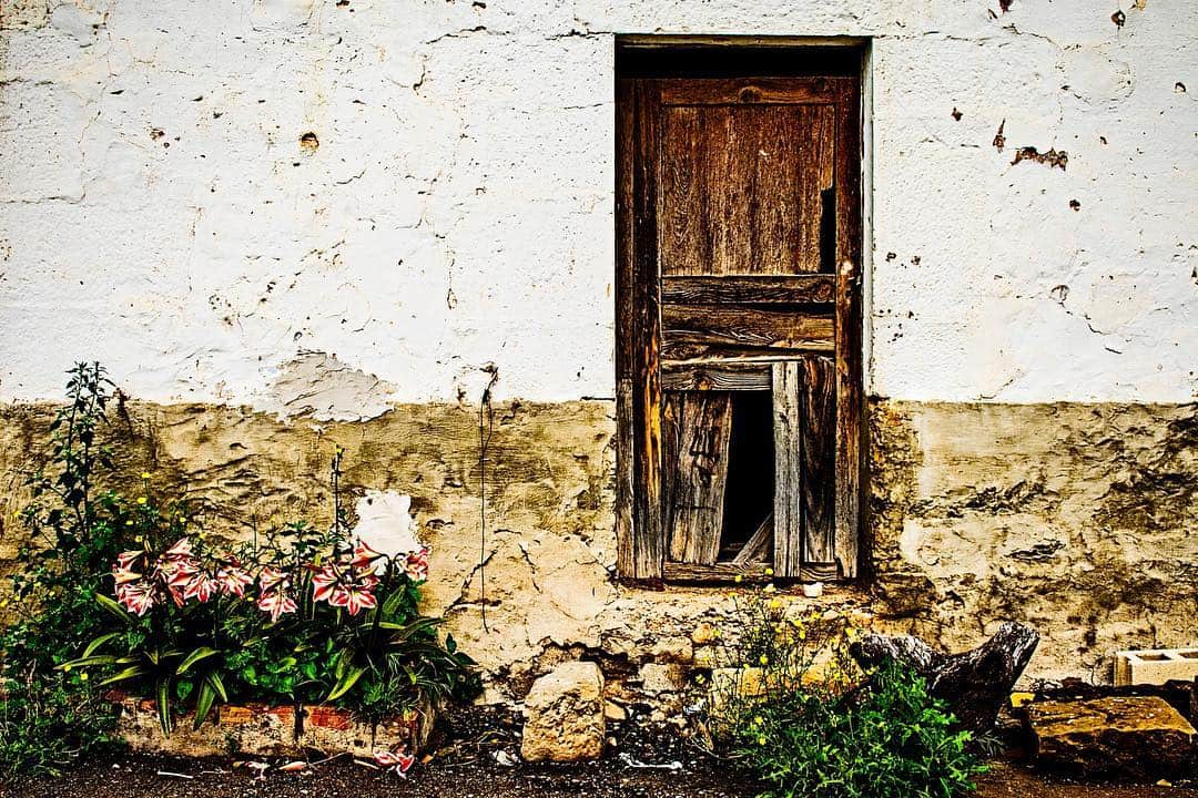 Puerta de madera vieja con un hueco en la parte baja, en un muro encalado, con flores creciendo al pie.
