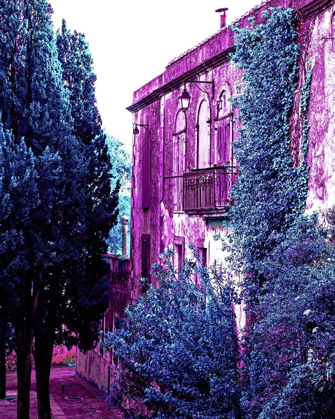 Casa de un jardín entre árboles, con la imagen virada a magenta y azul.