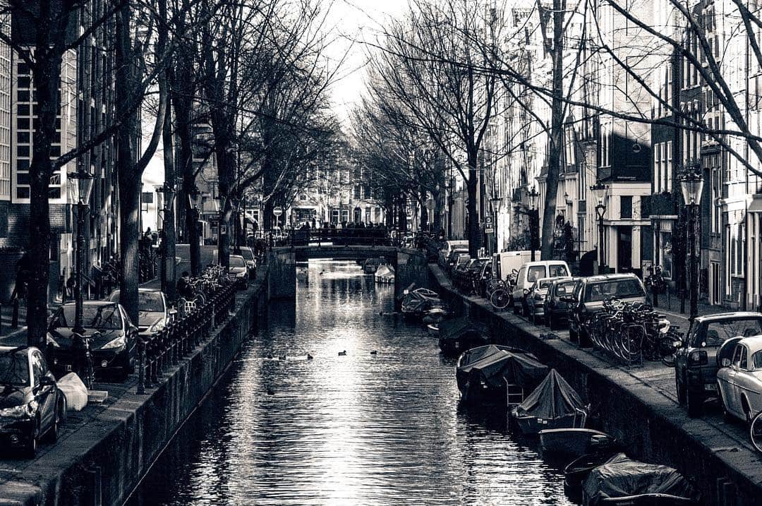 Canal de Ámsterdam en blanco y negro, con barcos amarrados, coches y árboles desnudos en las dos orillas.