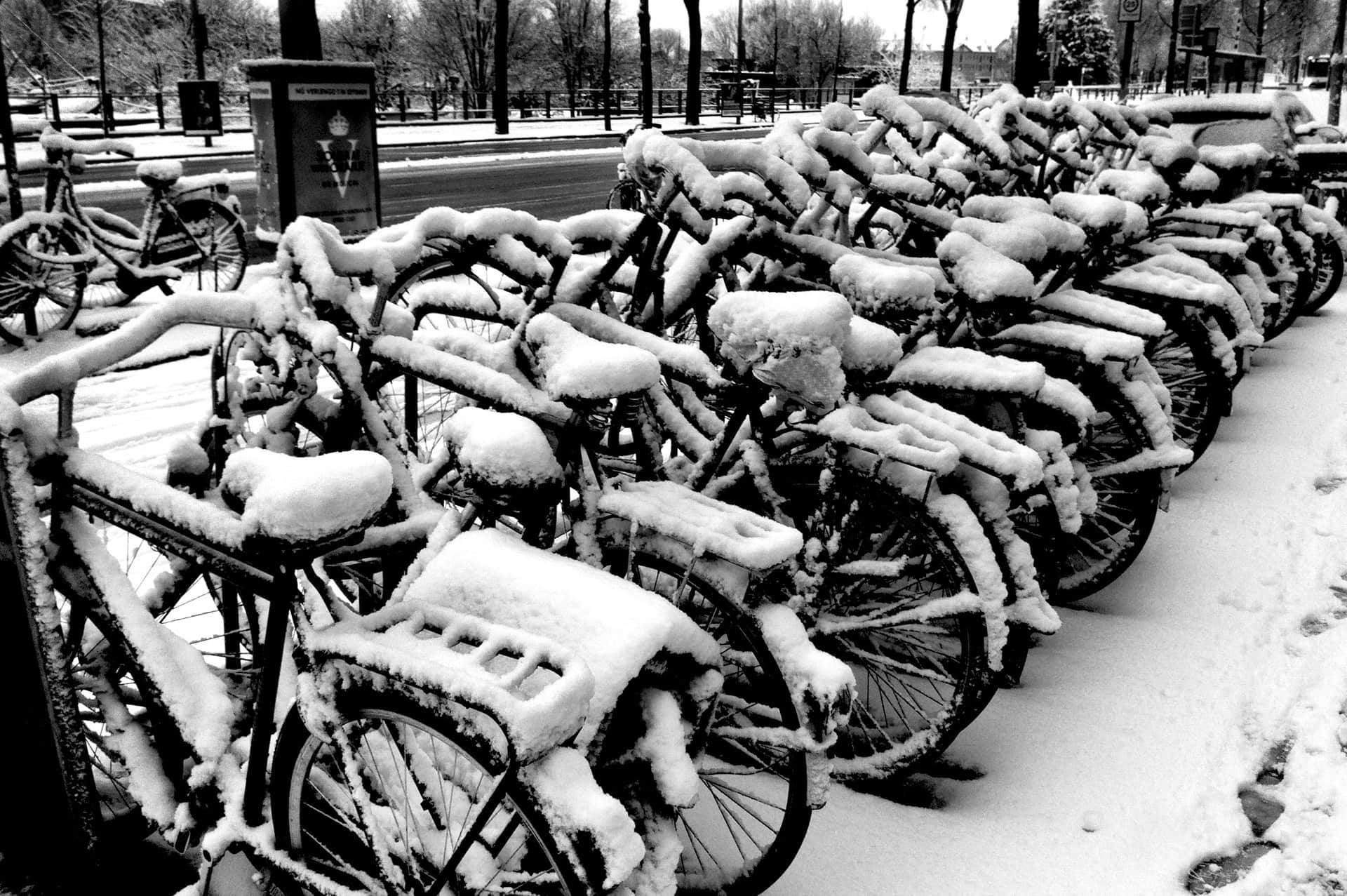Hilera de bicicletas aparcadas bajo una gruesa capa de nieve junto a una calzada despejada, en blanco y negro.