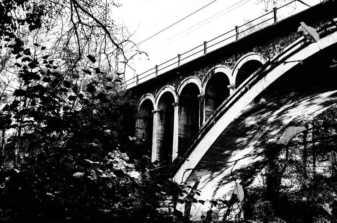 Puente de arcos de piedra visto desde abajo entre ramas, en blanco y negro con mucho contraste.