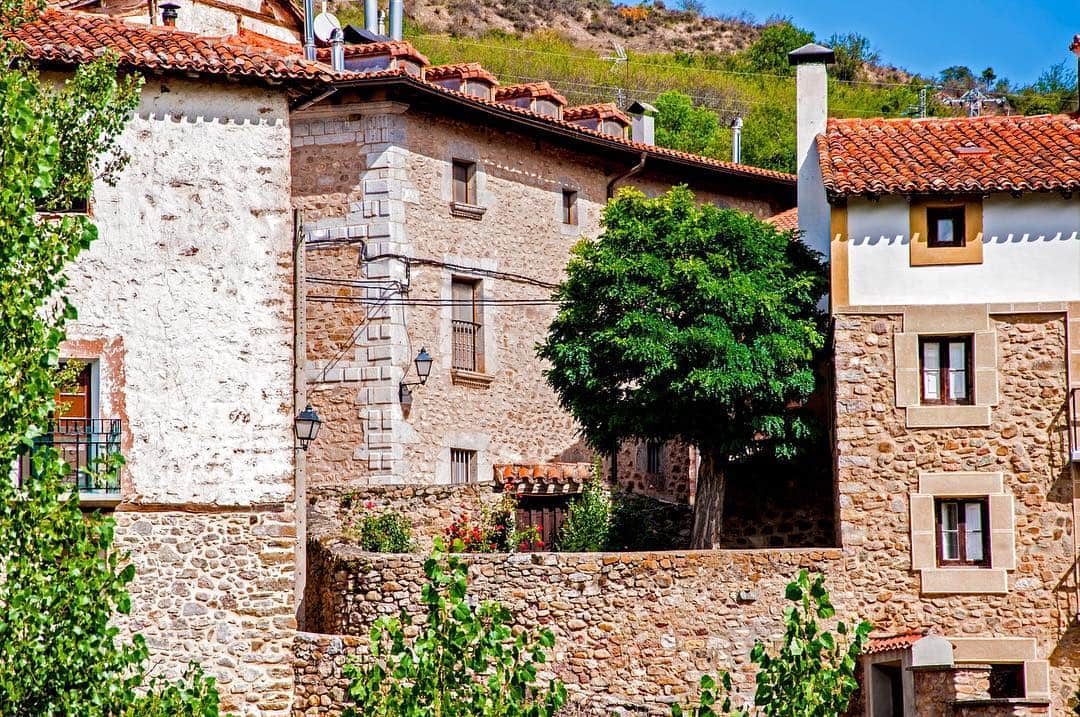 Casas de piedra de un pueblo con tejados de teja y un árbol en primer plano, al pie de una ladera.