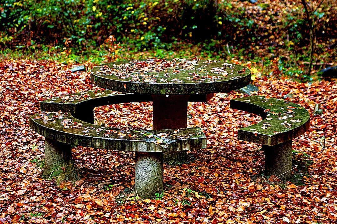 Mesa y bancos de piedra de un merendero, cubiertos de hojas secas de otoño.