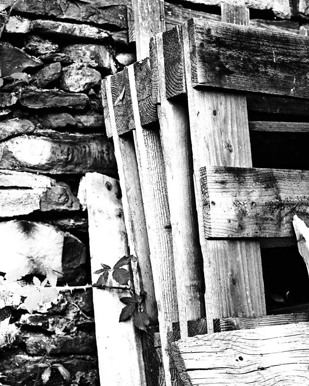 Detalle en blanco y negro de tablones de madera viejos y agrietados apoyados sobre un muro de piedra.